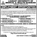 Liaquat University of Medical & Health Sciences Karachi Jobs 2024