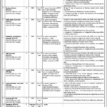 Prime Minister's Office Jobs 2024 Apply Online 