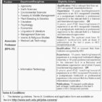 The University of Haripur Professor Jobs 2024 Apply Online