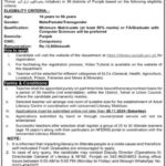 Directorate General of Literacy & Non-Formal Basic Education Teaching Jobs 2024 - DGLNBE