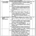 MNS University of Engineering and Technology, Multan Jobs November 2024