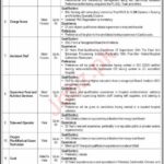 Peshawar Institute of Cardiology Jobs 2024 Apply Now