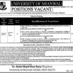 University of Mianwali Treasurer Jobs 2024 Apply Online