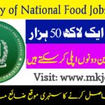 Ministry of National Food Security & Research MNFSR Jobs 2024