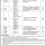 Pakistan Meteorological Department PMD Jobs 2024 - Apply Online