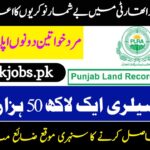 Punjab Land Records Authority PLRA Jobs 2024 Lahore