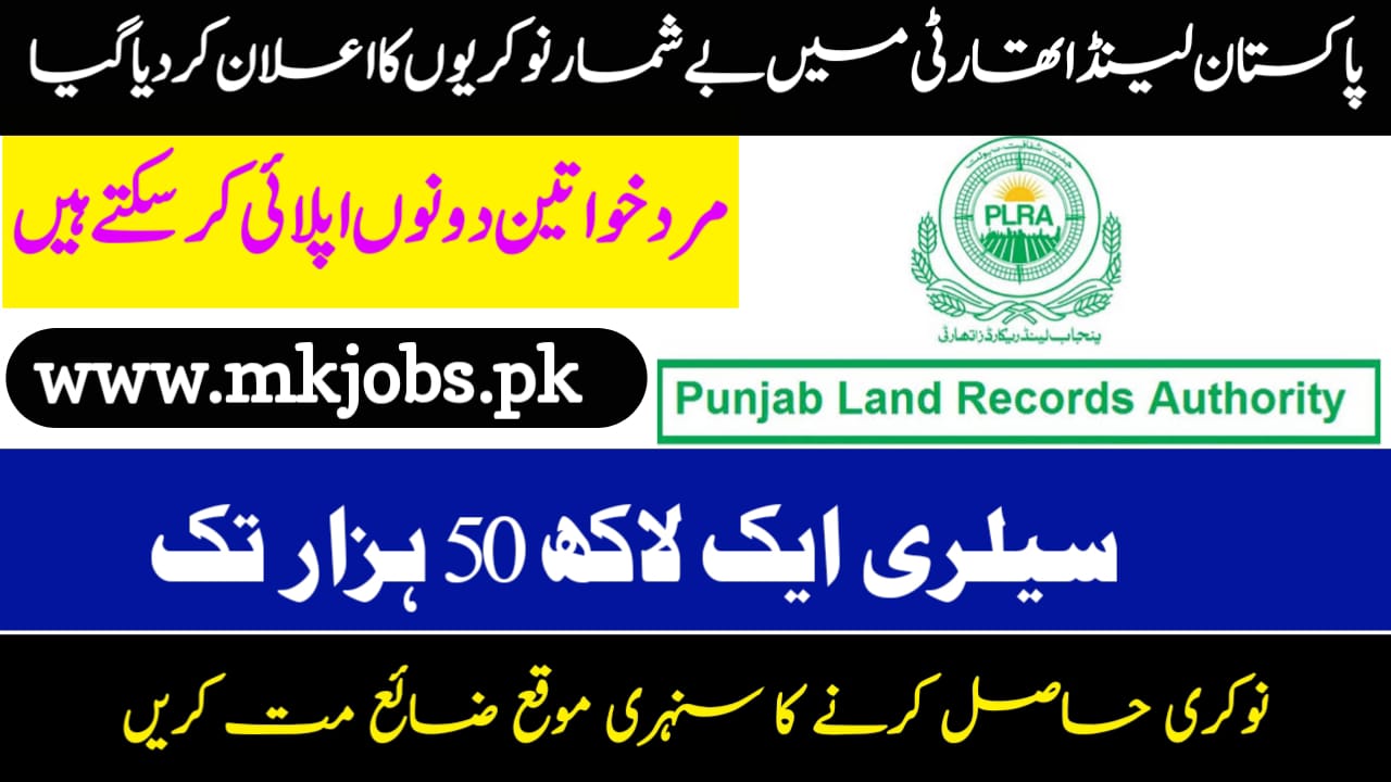 Punjab Land Records Authority PLRA Jobs 2024 Lahore